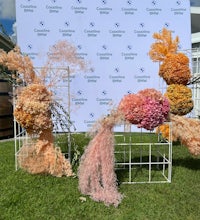 a group of flowers on display in a grassy area